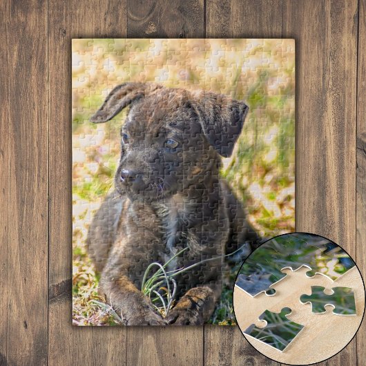Puzzle Chiot et oignon sauvage
