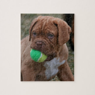 Puzzle Chiot français de mastiff
