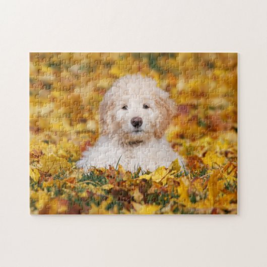 Puzzle Chiot Goldendoodle En Feuilles Automnes (Horizontal)