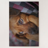 Puzzle Chiot mignon (Vertical)