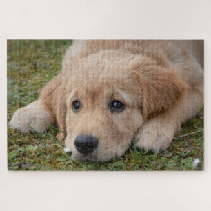 Puzzle Chiot mignon