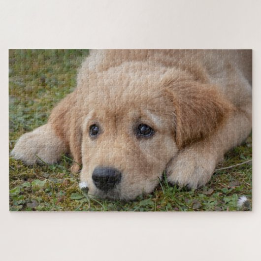 Puzzle Chiot mignon (Horizontal)