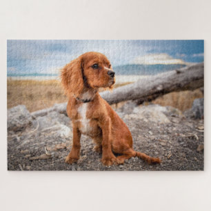 Puzzle Chiot Mignon Chien