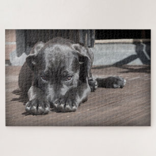 Puzzle Chiot Mignon Chien