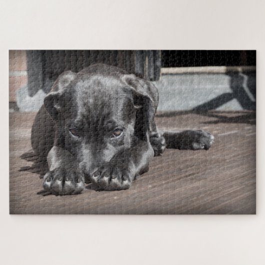 Puzzle Chiot Mignon Chien (Horizontal)