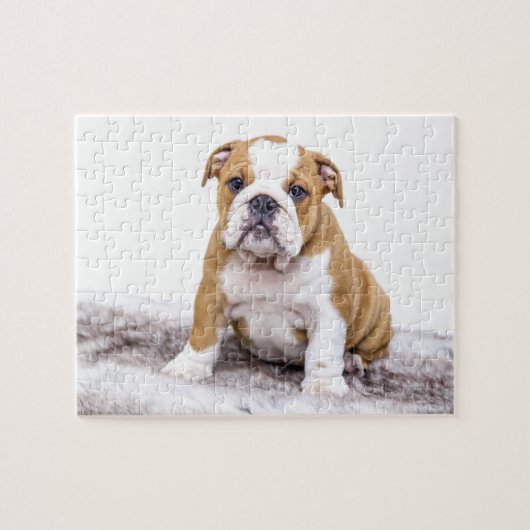 Puzzle Chiot mignon de bouledogue (Horizontal)