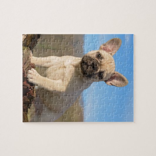 Puzzle Chiot mignon de bouledogue français (Horizontal)