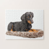 Puzzle chiot mignon de pinscher de dobermann (Horizontal)