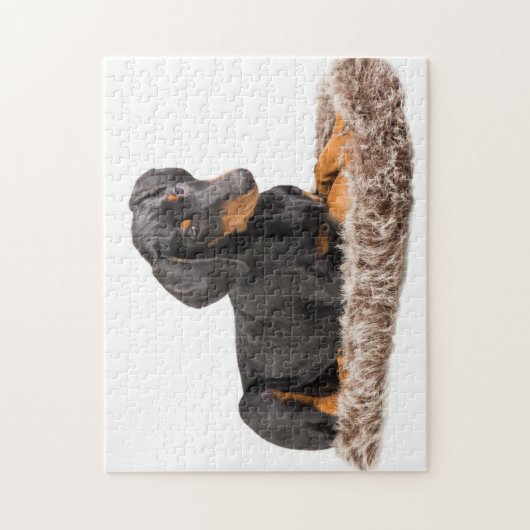 Puzzle chiot mignon de pinscher de dobermann (Vertical)