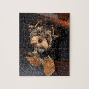 Puzzle Chiot mignon de Yorkshire Terrier