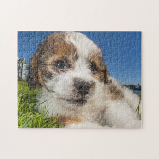 Puzzle Chiot mignon (Shitzu) (Horizontal)