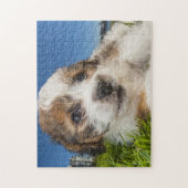 Puzzle Chiot mignon (Shitzu) (Vertical)