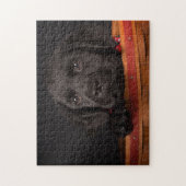 Puzzle Chiot noir de labrador retriever dans un panier (Vertical)