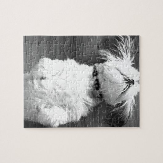 Puzzle Chiot noir et blanc de Shih-Tzu (Horizontal)