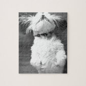 Puzzle Chiot noir et blanc de Shih-Tzu (Vertical)