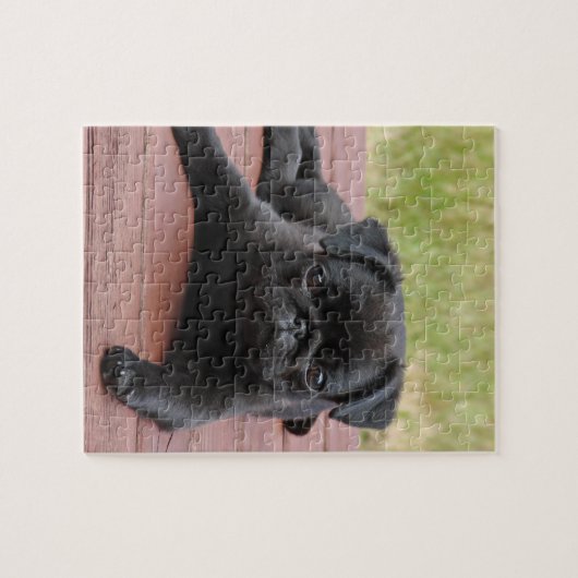 PUZZLE CHIOT VIGILANT DE CARLIN (Horizontal)