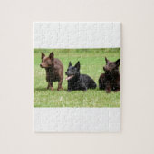 Puzzle Chiots australiens de Kelpie (Vertical)