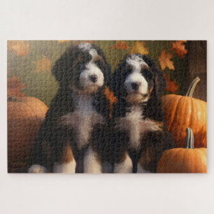 Puzzle Chiots Bernedoodle Délice d'Automne Citrouille