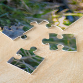 Puzzle Chiots Bringés et Oignon Sauvage (Côté)