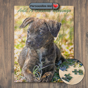 Puzzle Chiots Bringés et Oignon Sauvage