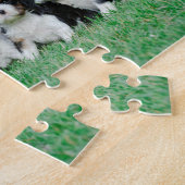 Puzzle Chiots Cavalier King Charles Spaniel (Côté)