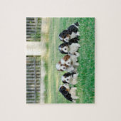 Puzzle Chiots Cavalier King Charles Spaniel (Vertical)