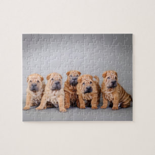 Puzzle Chiots chinois Shar Pei