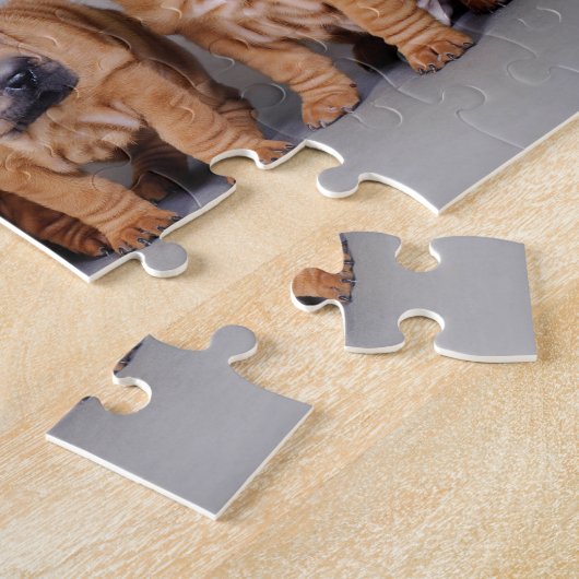 Puzzle Chiots chinois Shar Pei (Côté)