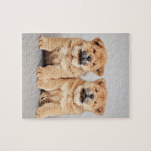 Puzzle Chiots de chow (Horizontal)