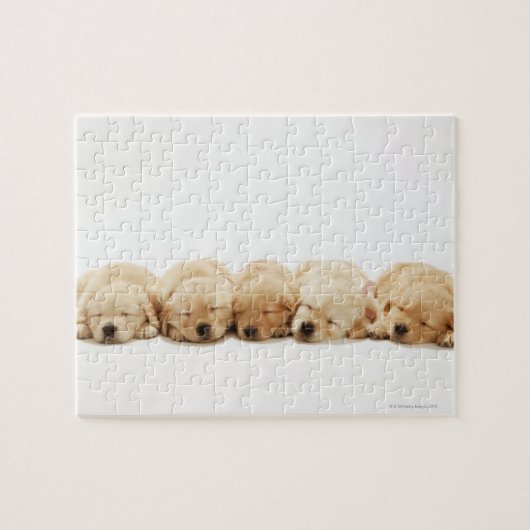 Puzzle Chiots de golden retriever (Horizontal)