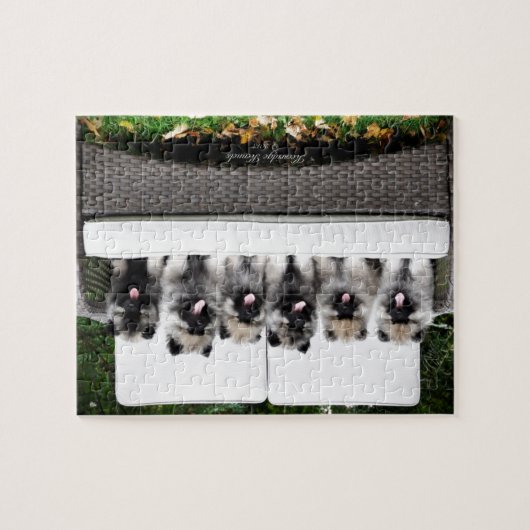 Puzzle Chiots de Keeshond (Horizontal)