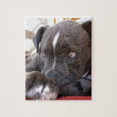 Puzzle Chiots de Pitbull de bébé (Vertical)