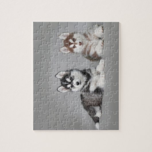 Puzzle Chiots husky sibériens (Vertical)
