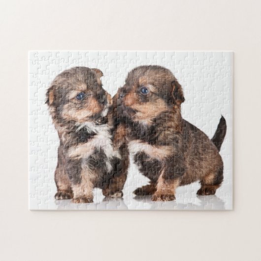 Puzzle Chiots mignons de Yorkshire (Horizontal)