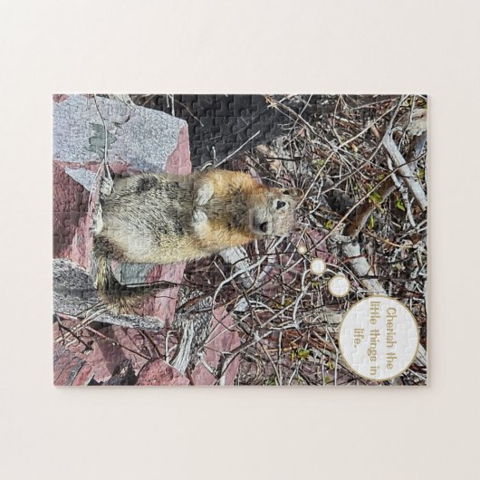 Puzzle Chipmunk (Horizontal)