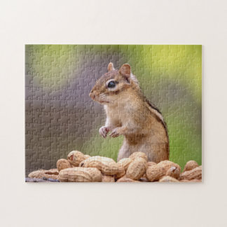Puzzle Chipmunk aux cacahuètes