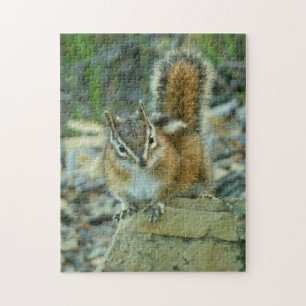 Puzzle Chipmunk dans le parc national des Glaciers
