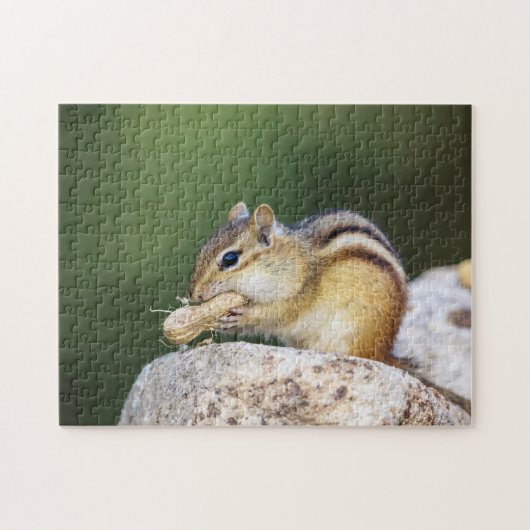 Puzzle Chipmunk dans les Adirondacks (Horizontal)