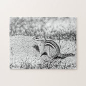 Puzzle Chipmunk Sketch (Horizontal)