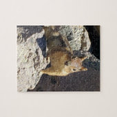 Puzzle Chipmunk Stare Down (Horizontal)