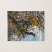 Puzzle Chirurgien (Horizontal)