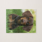 Puzzle Chocolat et bronzage Dachshund (Horizontal)