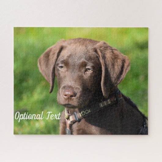 Puzzle Chocolat Lab Chien Chien Chien Chien Chien (Horizontal)