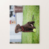 Puzzle Chocolat Labrador Puppy Avec Tennis Ball (Vertical)