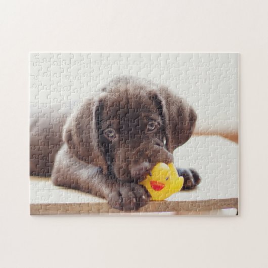 Puzzle Chocolat Labrador Puppy With Toy Duck (Horizontal)