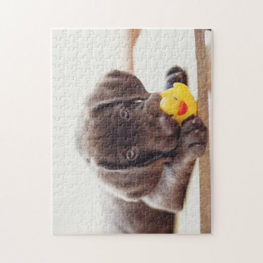 Puzzle Chocolat Labrador Puppy With Toy Duck (Vertical)