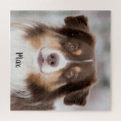 Puzzle Chocolate Australian Shepherd Puppy Dog (Horizontal)
