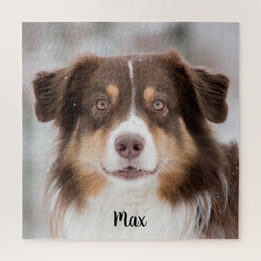 Puzzle Chocolate Australian Shepherd Puppy Dog (Vertical)