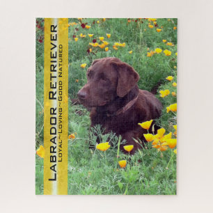Puzzle Chocolate Lab in California Poppy Patch