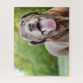 Puzzle Chocolate Labrador Dog (Vertical)